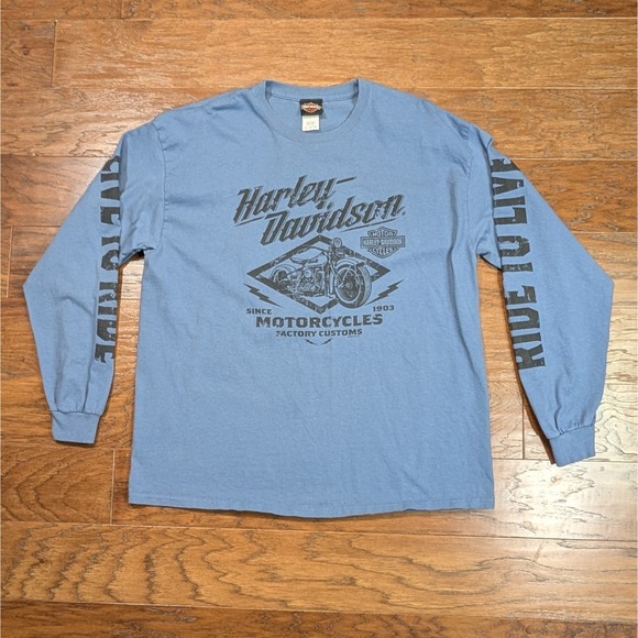 Harley Davidson Horny Toad Temple Texas Long Sleeve T-Shirt Blue XL 23x28 2-side - Picture 2 of 8